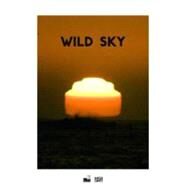 Wild Sky by Cantz, Hatje; Connor, Michael; Burnett, D.; Connor, Michael, 9783775731751