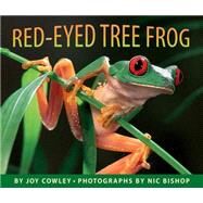 Red-eyed Tree Frog by Bishop, Nic; Cowley, Joy, 9780590871754