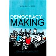 Democracy in the Making How Activist Groups Form by Blee, Kathleen M., 9780190221768