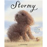 Stormy A Story About Finding a Forever Home by Guojing, 9781524771768