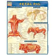 Fetal Pig by Perez, Vincent, 9781423201779