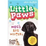 Meg's Big Mystery by Black, Jess, 9780143781790
