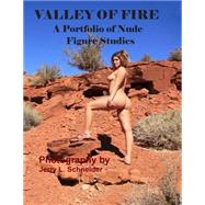 Valley of Fire by Schneider, Jerry L., 9781503031791