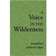 A Voice in the Wilderness by Elgin, Josephine Johnson, 9781594571794
