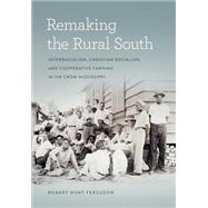 Remaking the Rural South by Ferguson, Robert Hunt, 9780820351797