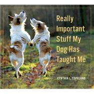 Really Important Stuff My Dog Has Taught Me by Copeland, Cynthia L., 9780761181798