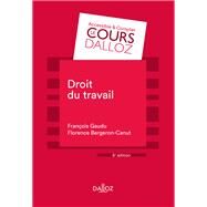 Droit du travail by Franois Gaudu; Raymonde Vatinet, 9782247151806