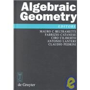 Algebraic Geometry by Beltrametti, Mauro C., 9783110171808