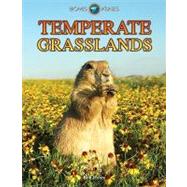 Temperate Grasslands by Hoare, Ben, 9781432941819