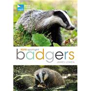 RSPB Spotlight: Badgers by James Lowen, 9781472921819