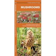 Mushrooms A Folding Pocket Guide to Familiar North American Species by Kavanagh, James; Leung, Raymond, 9781583551820