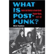 What Is Post-punk? by Haddon, Mimi, 9780472131822