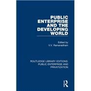 Public Enterprise and the Developing World by Ramanadham, V. V., 9780367181826