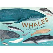 Whales An Illustrated Celebration by Oseid, Kelsey, 9780399581830