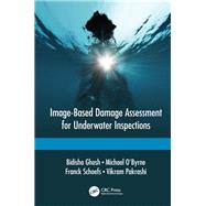Image Based Damage Assessment for Underwater Inspections by OByrne; Michael, 9781138031869