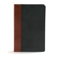 CSB Rainbow Study Bible, Black/Tan LeatherTouch by CSB Bibles by Holman, 9781462741878