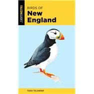 Birds of New England by Telander, Todd, 9781493051908
