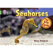 Seahorses by Bergman, Mara, 9780007461912