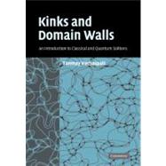 Kinks and Domain Walls: An Introduction to Classical and Quantum Solitons by Tanmay Vachaspati, 9780521141918