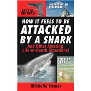 How It Feels To Be Attacked Pa by Hamer,Michelle, 9781602391918