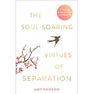 The Soul-Soaring Virtues of Separation 111 Learnings to Heal Your Heart and Help You Fly by Ransom, Amy, 9781401961923
