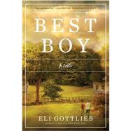 Best Boy A Novel by Gottlieb, Eli, 9781631491924