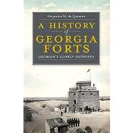 A History of Georgia Forts by De Quesada, Alejandro M., 9781609491925