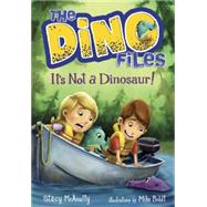 The Dino Files #3: It's Not a Dinosaur! by MCANULTY, STACYBOLDT, MIKE, 9780553521979