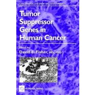 Tumor Suppressor Genes in Human Cancer by Fisher, David E., 9781617371981