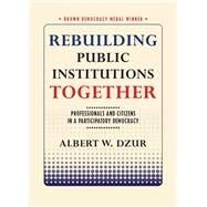Rebuilding Public Institutions Together by Dzur, Albert W., 9781501721984