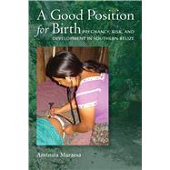 A Good Position for Birth by Maraesa, Aminata, 9780826522009