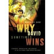 Why David Sometimes Wins : Leadership, Organization, and Strategy in the California Farm Worker Movement by Ganz, Marshall, 9780195162011
