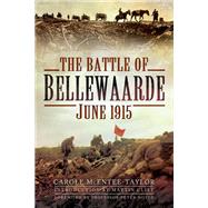 The Battle of Bellewaarde, June 1915 by Mcentee-Taylor, Carole, 9781526782038