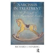 Narcissus in Treatment by Feinberg, Richard I., 9780367102050