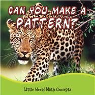 Can You Make a Pattern? by Picou, Lin, 9781618102058