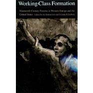 Working-Class Formation by Katznelson, Ira; Zolberg, Aristide R., 9780691102078