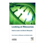 Looking at Ribozymes by Masquida, Benot; Leclerc, Fabrice, 9781785482106