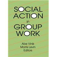 Social Action in Group Work by Vinik; Abe, 9781560242116