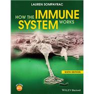 How the Immune System Works by Sompayrac, Lauren M., 9781119542124
