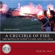 A Crucible of Fire by Feltoe, Richard, 9781459722125