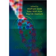 DNA Damage Recognition by Siede, Wolfram; Kow, Yoke Wah; Doetsch, Paul W., 9780367392130