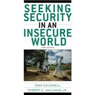Seeking Security in an Insecure World by Caldwell, Dan; Williams, Robert E., Jr., 9781442252134