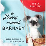 A Bunny Named Barnaby by Russell, Katja; Mcginn, Nick, Jr., 9781684422159