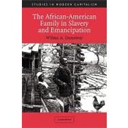 The African-American Family in Slavery and Emancipation by Wilma A. Dunaway, 9780521012164