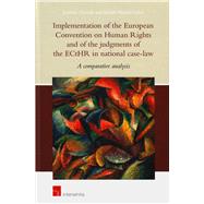 Implementation of the European Convention on Human Rights and of the judgments of the ECtHR in national case law A comparative analysis by H. Gerards, Janneke; Fleuren, Joseph, 9781780682174