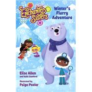 Winter's Flurry Adventure by Allen, Elise; Stanford, Halle, 9780606362177