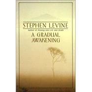 A Gradual Awakening by LEVINE, STEPHEN, 9780385262187