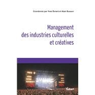 Management des industries culturelles et cratives by Christian Cauvin; Nicole Ferry-Maccario; Olivier Bettach; Marie Serna; Thomas Paris, 9782311402216