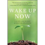 Wake Up Now by Bodian, Stephan, 9780071742221