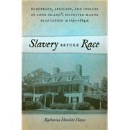 Slavery Before Race by Hayes, Katherine Howlett, 9781479802227